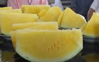 有名的吃瓜事件,揭秘娱乐圈的“吃瓜”狂欢