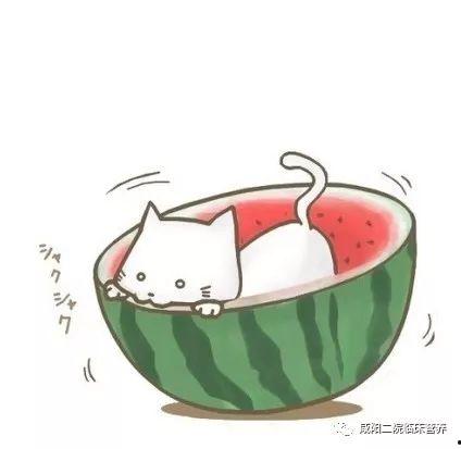 动漫吃瓜头像,趣味横生的二次元世界缩影