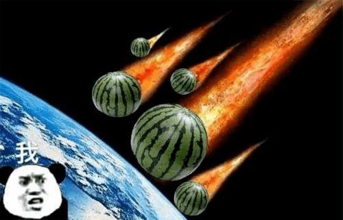 飞回家吃瓜,一场别开生面的家庭盛宴