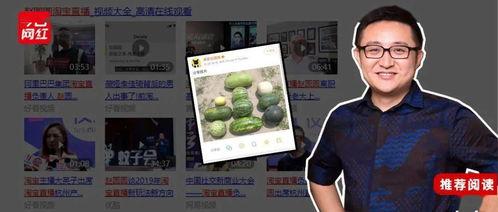 赵圆圆吃瓜,揭秘娱乐圈幕后故事