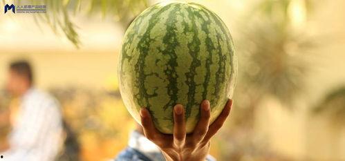 知乎 吃瓜,真相与谣言的较量