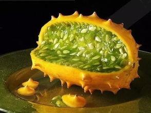 角瓜吃货,探寻美食与生活的完美融合