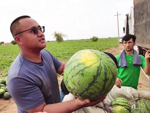 任我行吃瓜,揭秘娱乐圈幕后风云